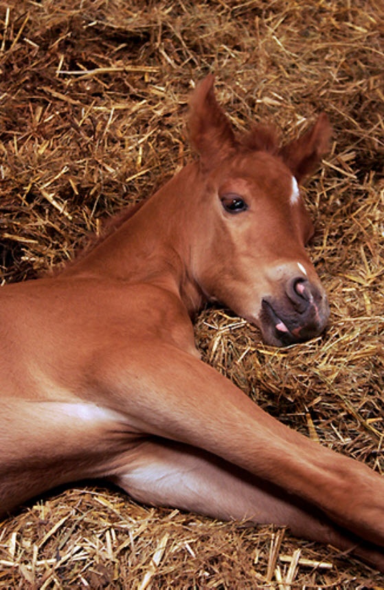 02-06-2013 23-53-47.jpg