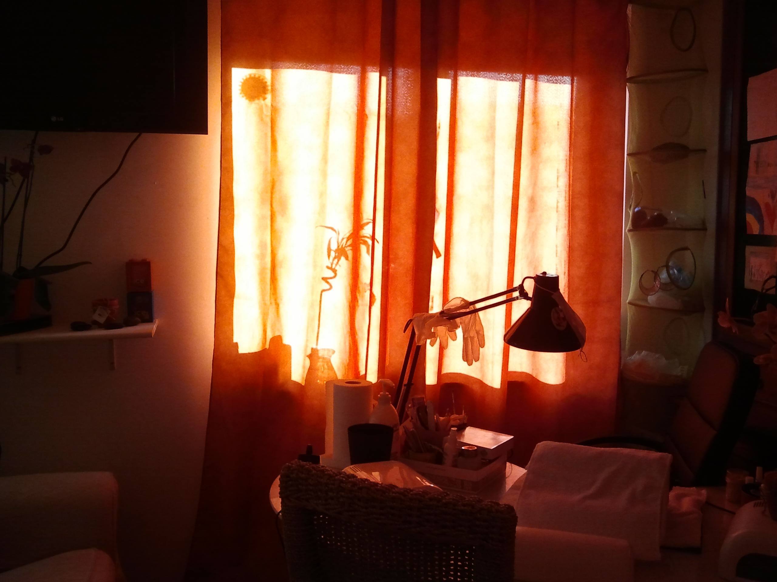 2012-08-26 19.11.08.jpg