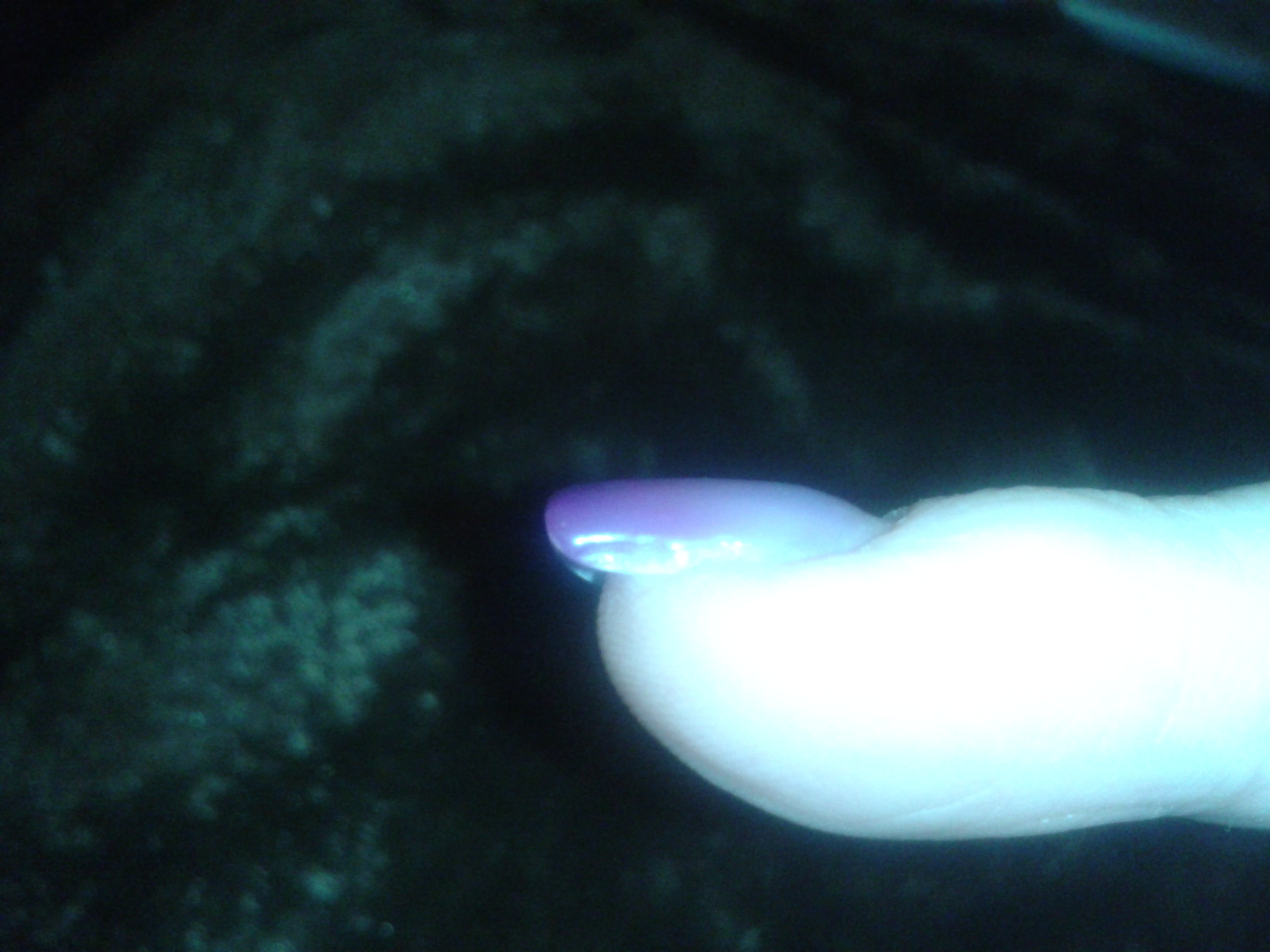 2012-12-02 21.50.03.jpg