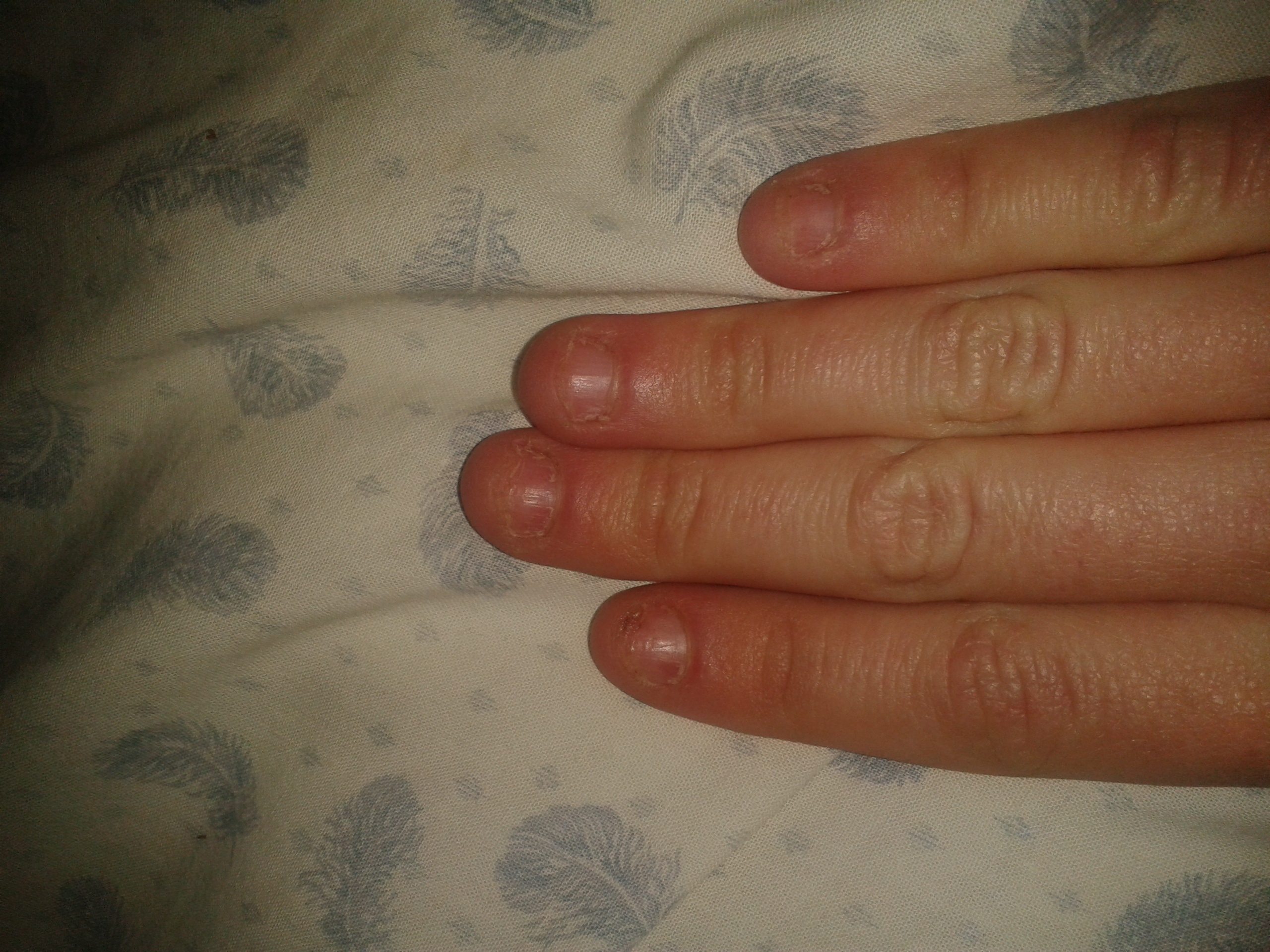 2012-12-29 19.21.28.jpg