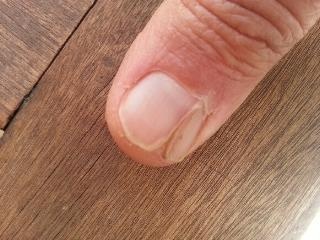 20130602_151829 (2).jpg