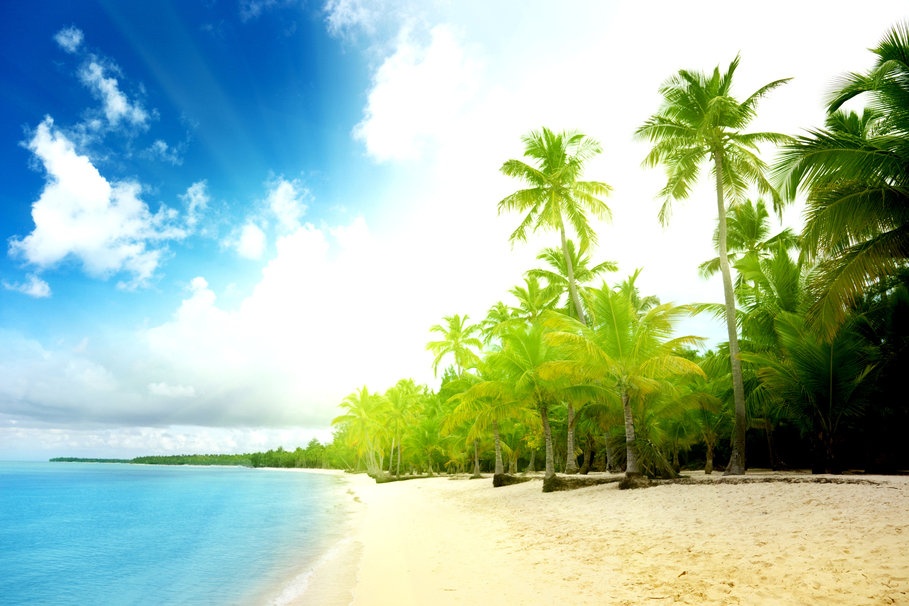 258634__landscapes-beach-sand-palm-trees-water-seas-ocean-summer-beach-waves-clouds-sky-sun_p.jpg