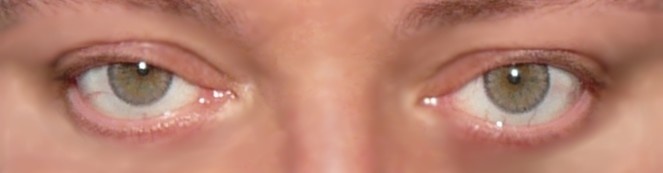 adore bi gris plein soleil.JPG