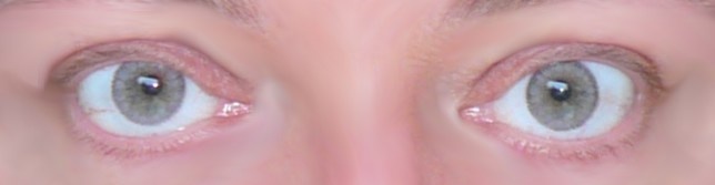 adore bi gris pleine lumiere2.JPG