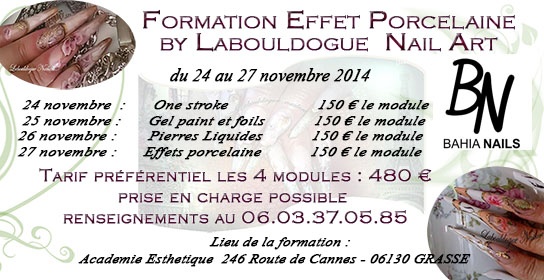 affiche porcelaine by labouldogue 24 27 2014.jpg