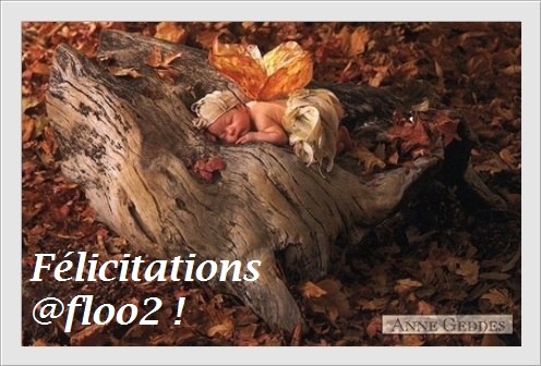 anne geddes tronc.jpg