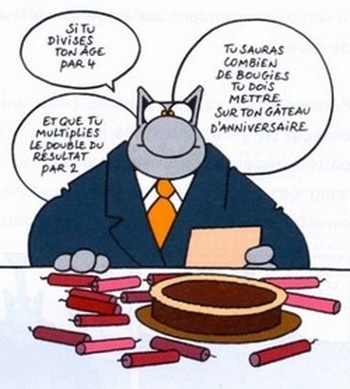 Anniversaire_chat_5-1-.JPG