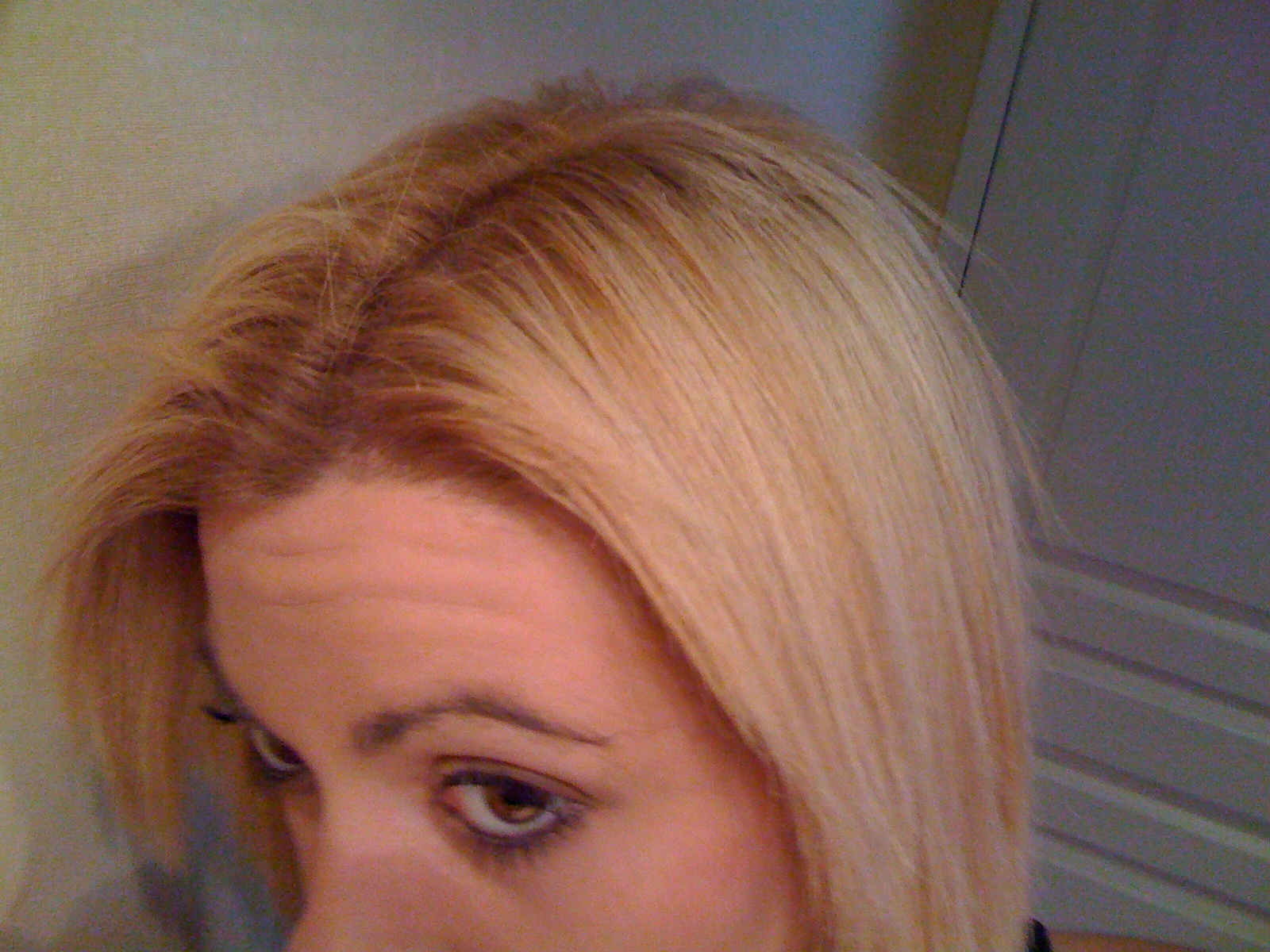 audreyiphone 103.JPG