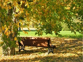 banc automne.jpg