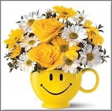 bol smiley soleil.jpg