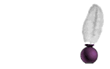 bonjour.gif