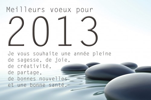 bonne annee 2013.jpg