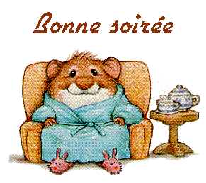 bonne soirée.gif