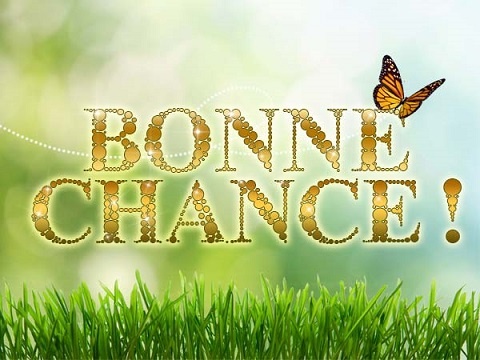 bonne_chance_papillon.jpg