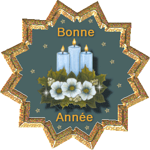 bonneannee11.gif