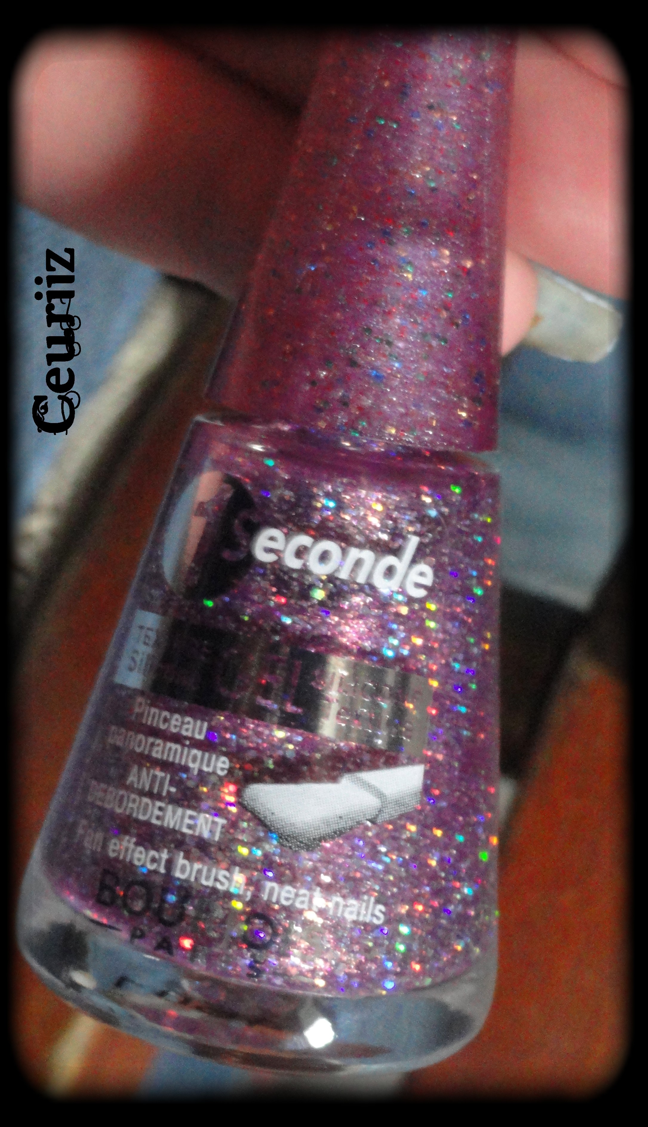 Bourgois holo.jpg