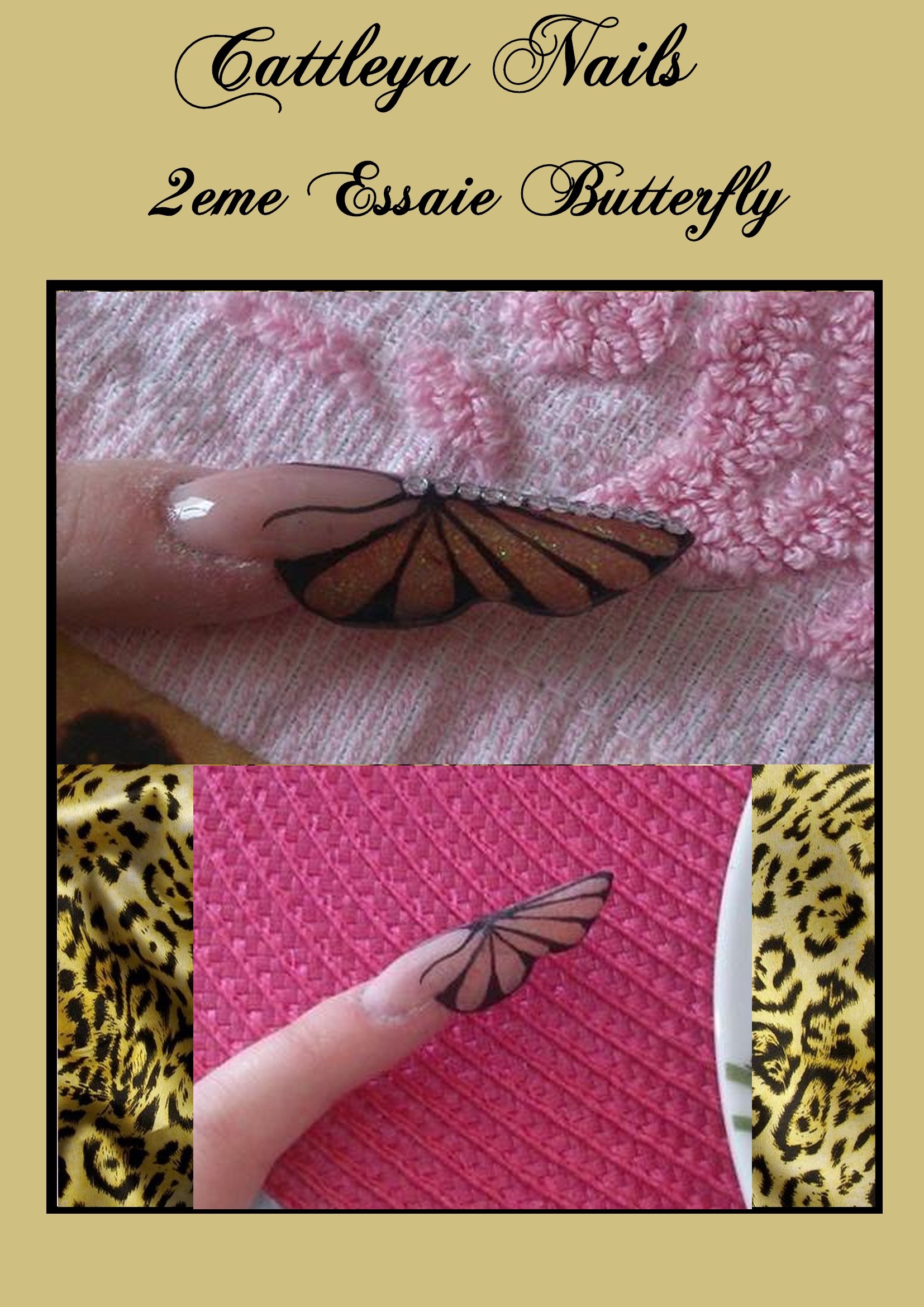 butterfly 2eme essaie.jpg