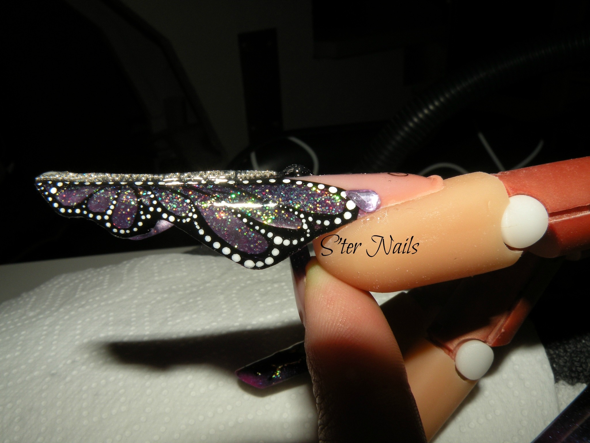 butterfly le 20.04 (2)2.jpg