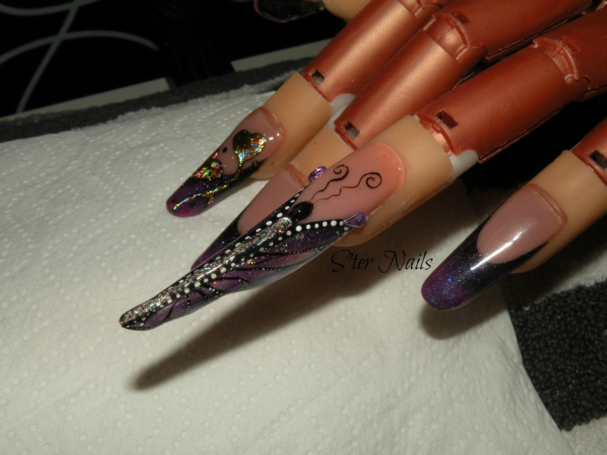 butterfly le 20.04 (3)3.jpg