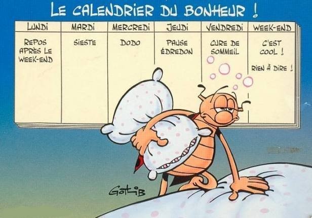 calendrier bonheur.jpg