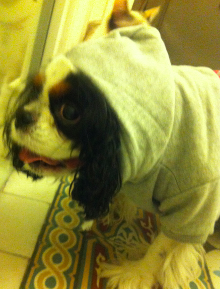 Capture d’écran 2014-08-12 à 18.16.38.png