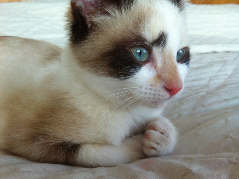 Capture d’écran 2014-08-12 à 18.19.52.png