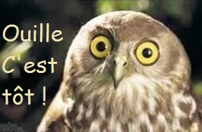 Chouette éveillée.jpg