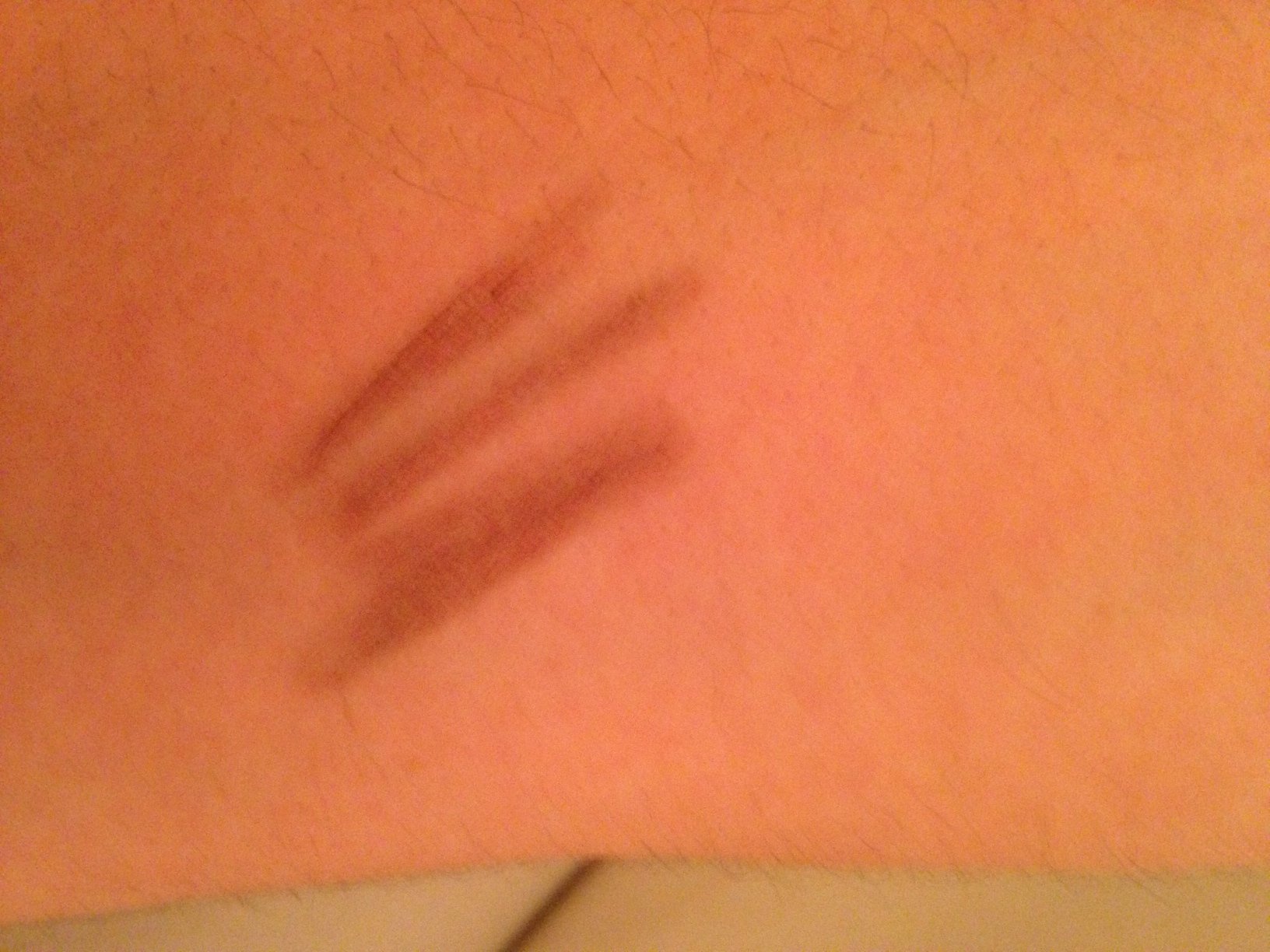 coup de crayon test.JPG