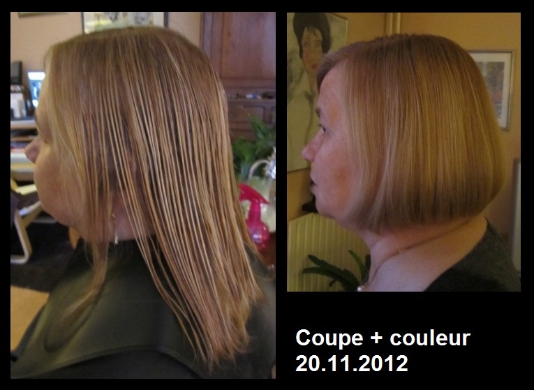 coupe carré + couleur 20.11.12 (1).jpg