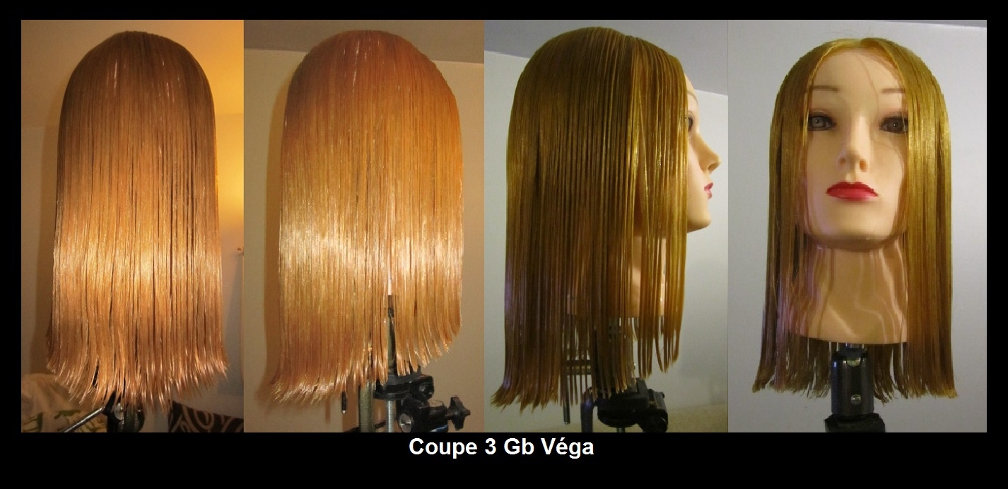 coupe longue 21.11.12 (1).jpg