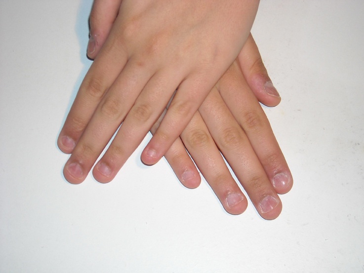 DSCN0139 1 - copie.JPG