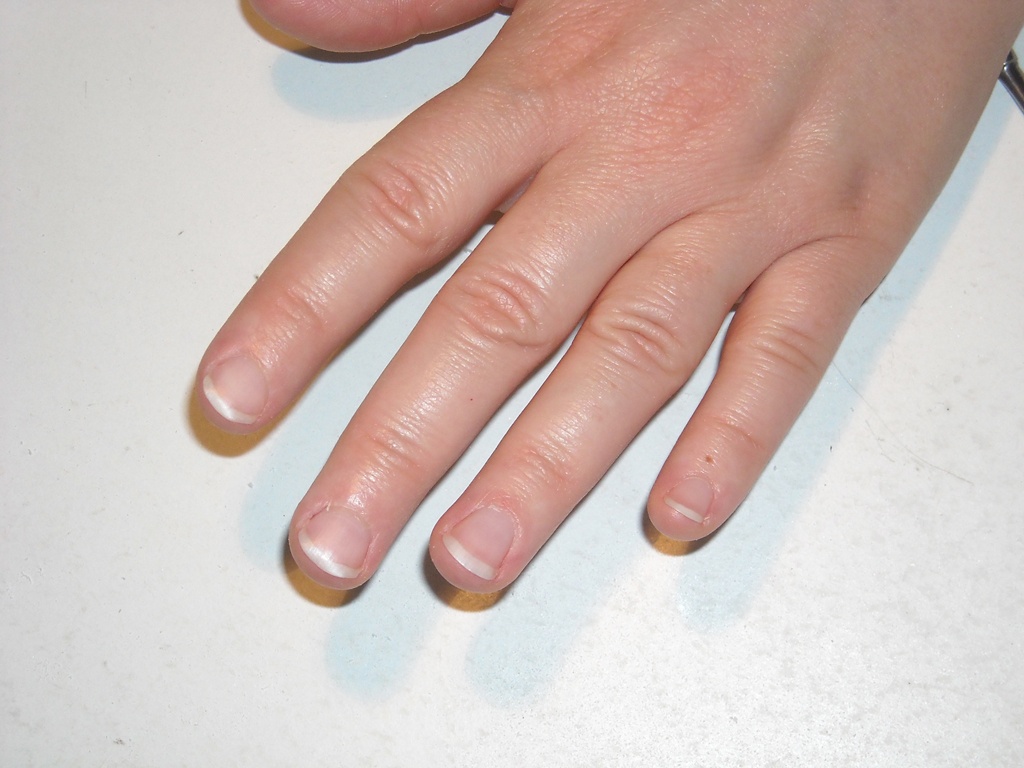 DSCN0151 - copie.JPG