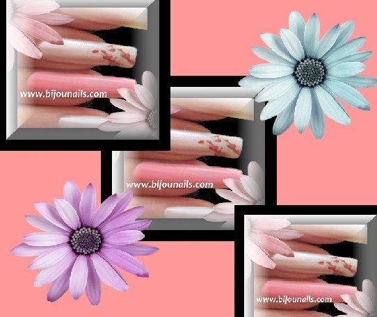 ENSEMBL ONGL2  2307.jpg