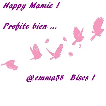 envol oiseaux roses.jpg