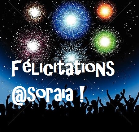 feu artfice félic.jpg