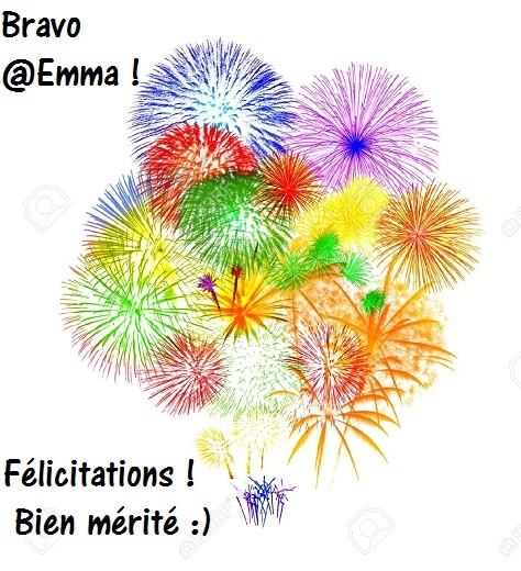 feu artifice Emma.jpg