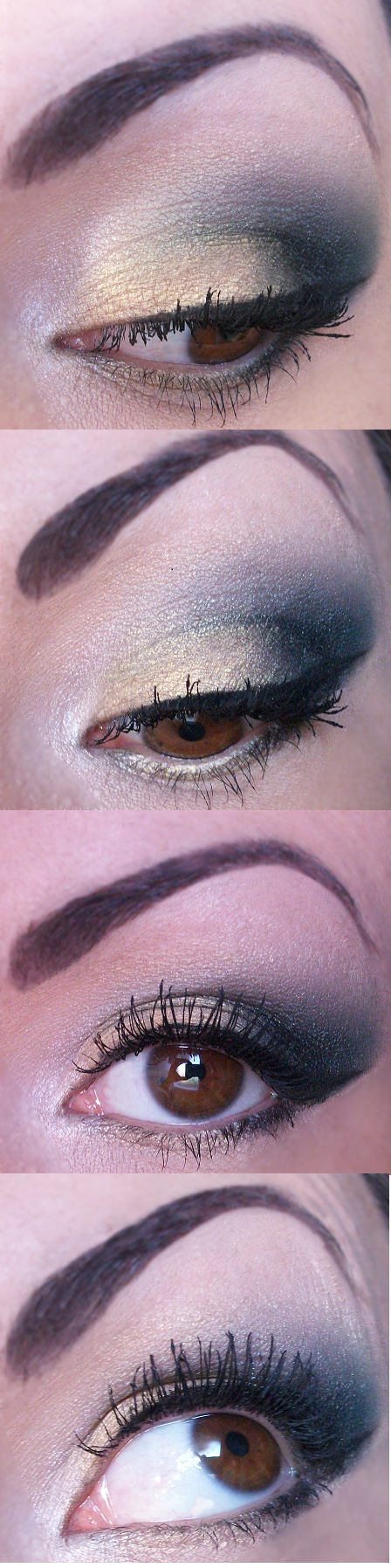 final dégradé vert.png