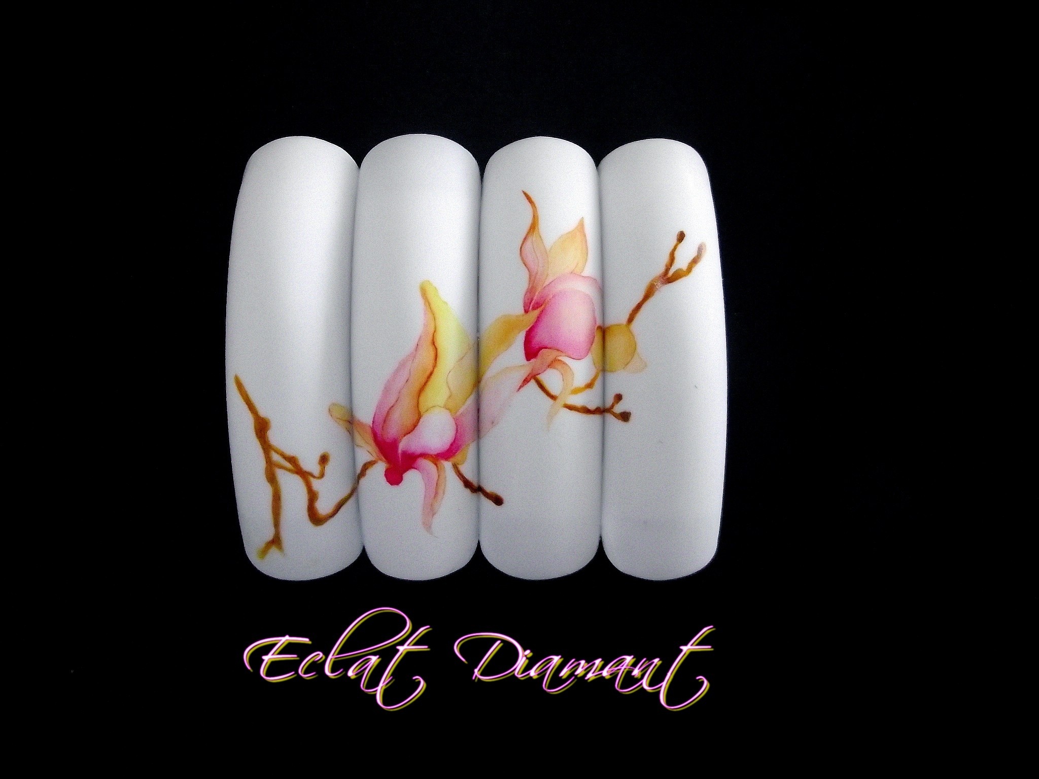 Fleurs de Magnolia.jpg