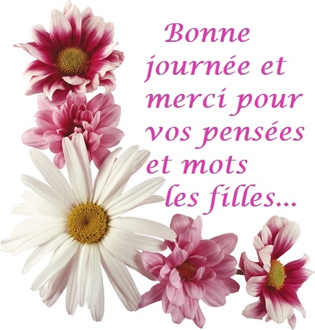 fleurs roses et blanches fofo.jpg