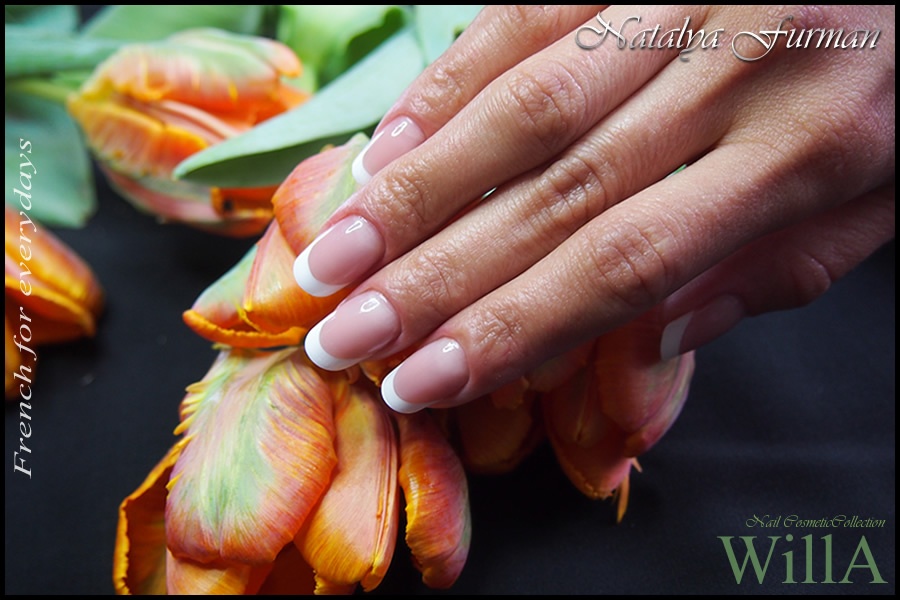 French for everydays.jpg