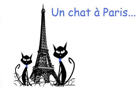 header_article_tmpphpgXN2r0.jpg