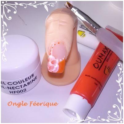 HF002 Gel couleur nectarine Pau LeB + camouflage et construction.jpg