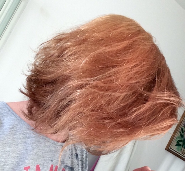 ImageUploadedByForum Manucure1503254792.518717.jpg