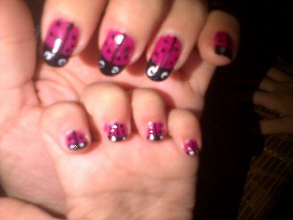 la famille coccinnelle.jpg