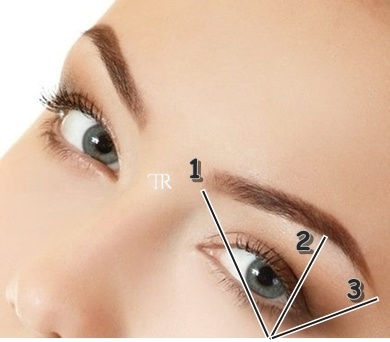 La structure des sourcils by le temps d'un regard.jpg