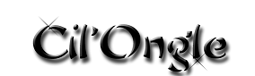 logo_noir_cilongle (2).png