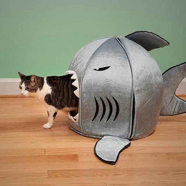 Maison-requin-pour-chat-640x640.jpg