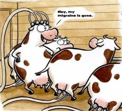 migraine.jpg