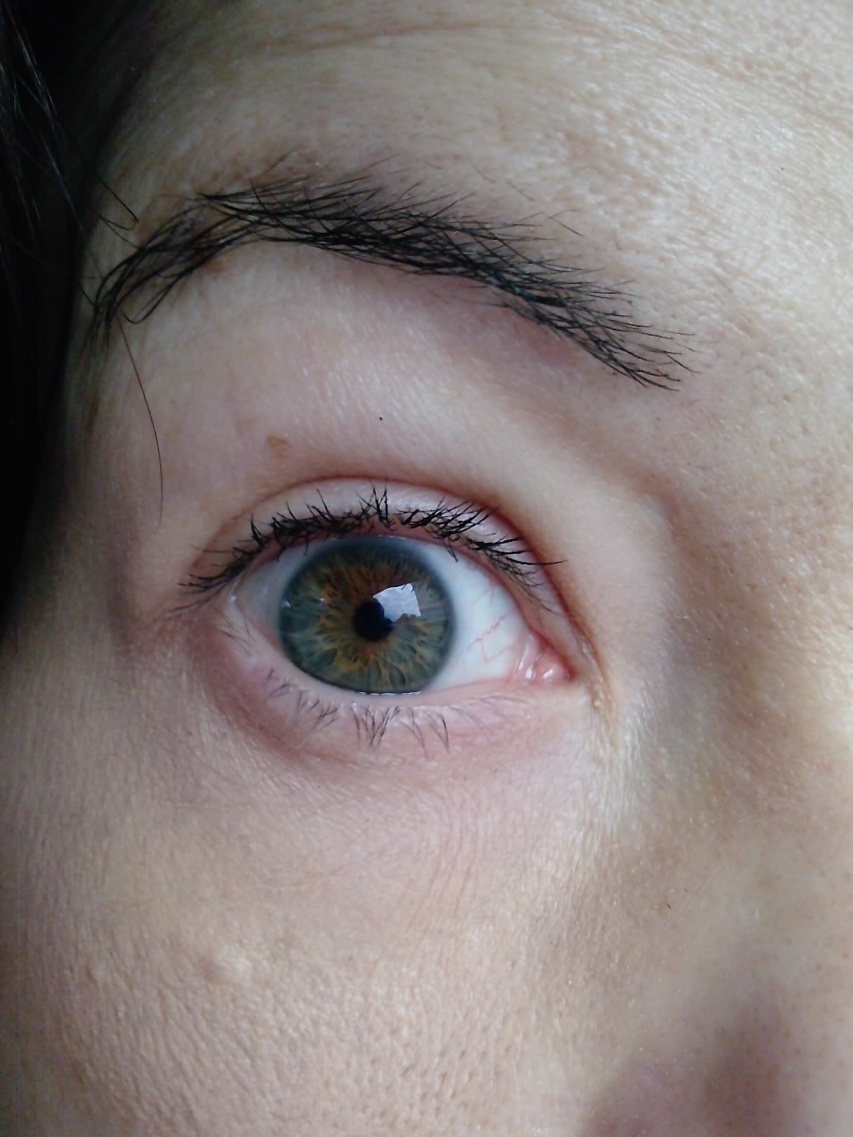 mon oeil 2013.jpg