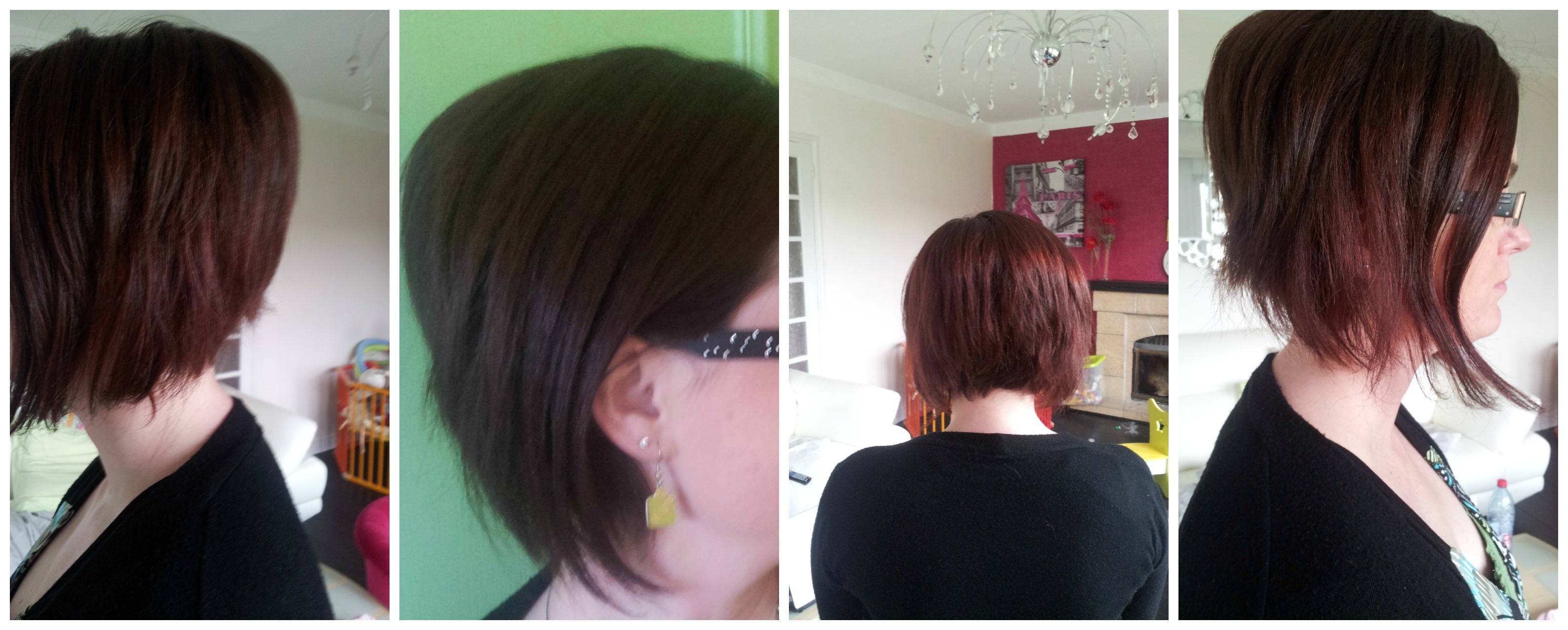 montage photo coupe.jpg